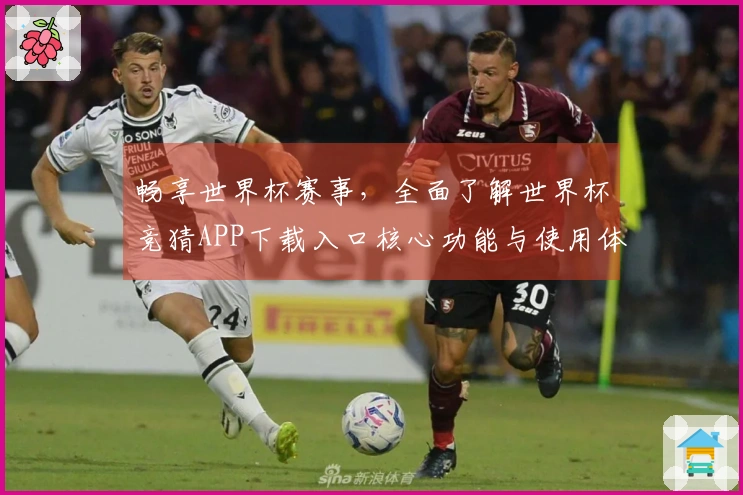 畅享世界杯赛事，全面了解世界杯竞猜APP下载入口核心功能与使用体验