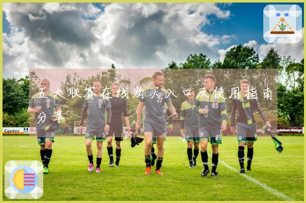 五大联赛在线购买入口及使用指南分享