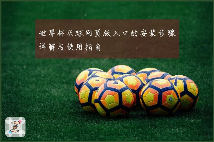 世界杯买球网页版入口的安装步骤详解与使用指南