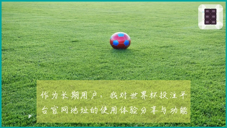 作为长期用户，我对世界杯投注平台官网地址的使用体验分享与功能评价