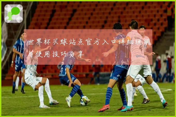 世界杯买球站点官方入口详细说明与使用技巧分享