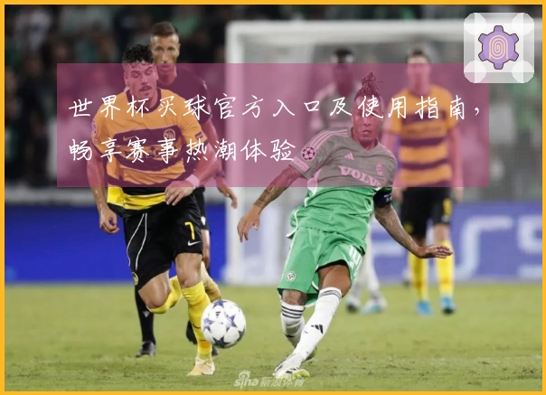 世界杯买球官方入口及使用指南，畅享赛事热潮体验