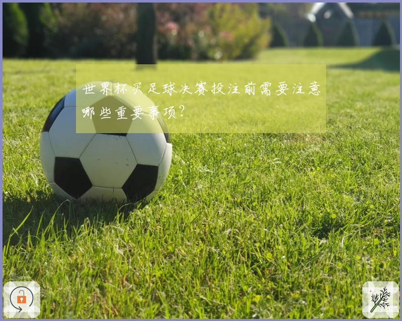 世界杯买足球决赛投注前需要注意哪些重要事项?