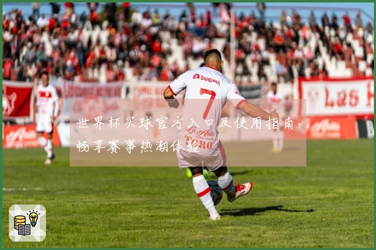世界杯买球官方入口及使用指南，畅享赛事热潮体验