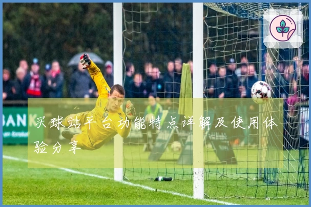 买球站平台功能特点详解及使用体验分享