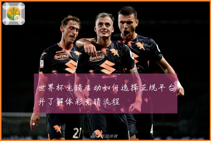 世界杯竞猜活动如何选择正规平台并了解体彩竞猜流程