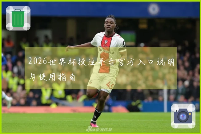 2026世界杯投注平台官方入口说明与使用指南