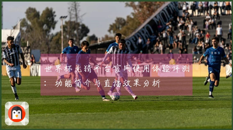 世界杯竞猜平台官网使用体验评测：功能简介与直播效果分析