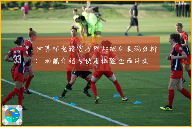 世界杯竞猜官方网站综合表现分析：功能介绍与使用体验全面评测