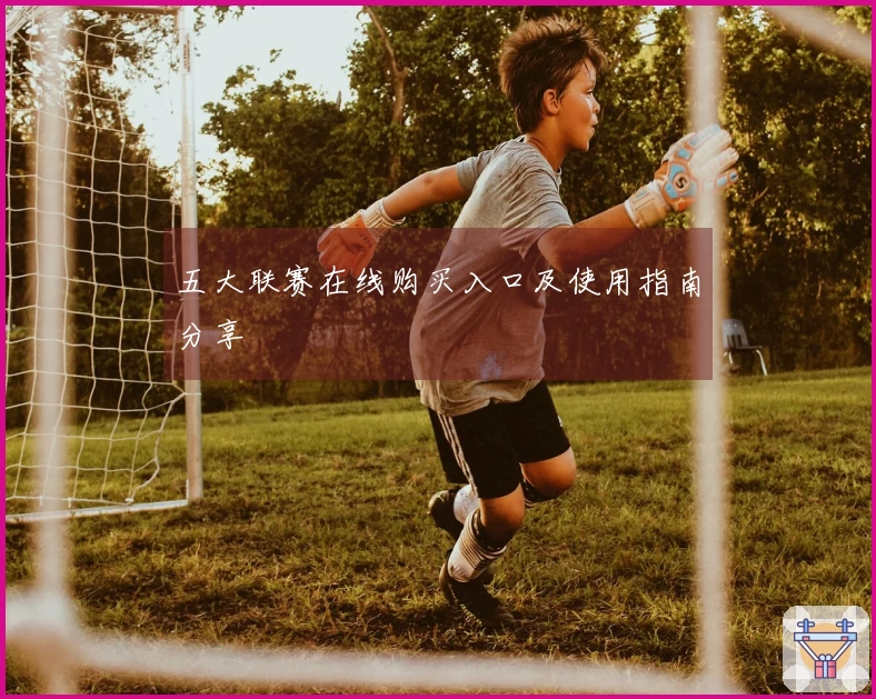 五大联赛在线购买入口及使用指南分享