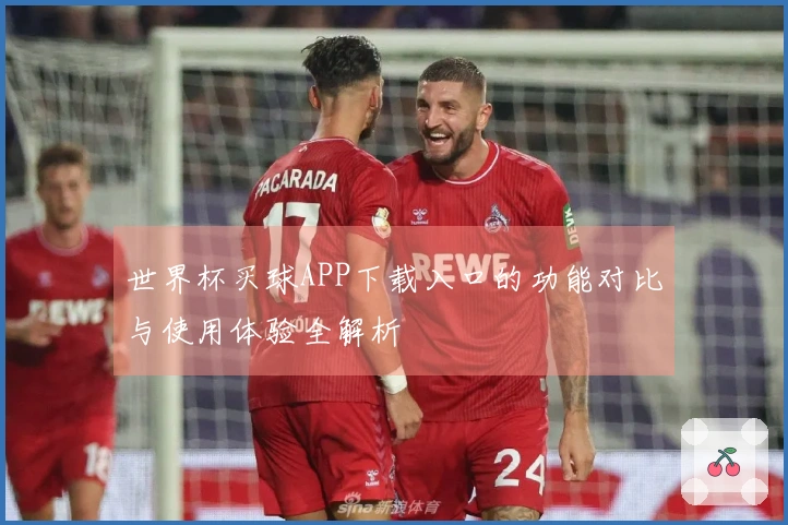 世界杯买球APP下载入口的功能对比与使用体验全解析