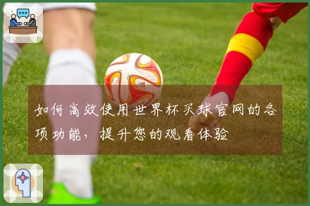 如何高效使用世界杯买球官网的各项功能,提升您的观看体验
